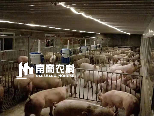 傳統(tǒng)人工養(yǎng)殖即將被取代，智能養(yǎng)殖大勢(shì)所趨，小智倌嶄露頭角