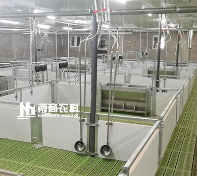 南商農(nóng)科：四川資陽(yáng)規(guī)模21600頭高樓養(yǎng)殖母豬場(chǎng)
