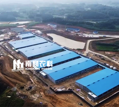 南商農(nóng)科：湖南岳陽規(guī)模2400頭母豬場(chǎng)