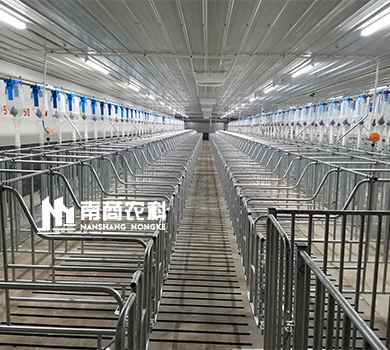南商農(nóng)科：山東聊城規(guī)模4800頭母豬場(chǎng)