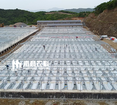 南商農(nóng)科：湖北孝感大悟縣規(guī)模1200頭種豬場(chǎng)