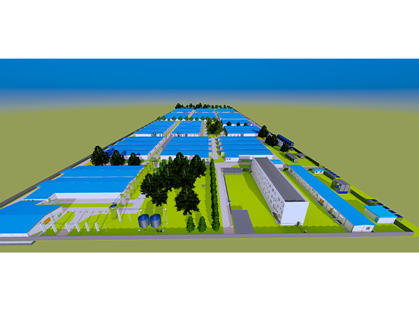 年出欄1萬頭豬場建設規(guī)劃和豬舍建筑