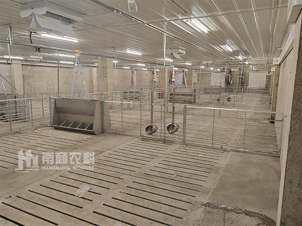 建設(shè)1000頭育肥舍，需要的投資預算多少？