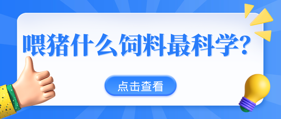 干料飼喂、粥料飼喂、液態(tài)飼喂，不同飼喂模式的效益成本分析