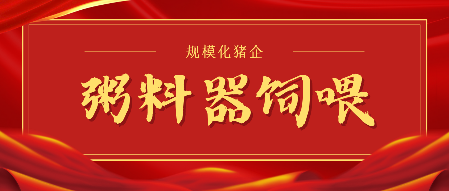 為什么粥料器喂養(yǎng)更適合大多數(shù)規(guī)?；i企