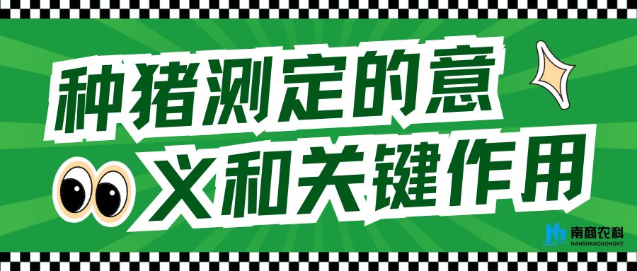 種豬測(cè)定的意義和關(guān)鍵作用