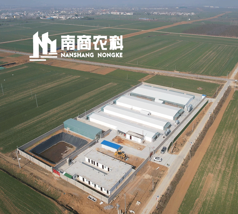  南商農(nóng)科：鄧州市南商農(nóng)科實驗豬場即將投產(chǎn)。