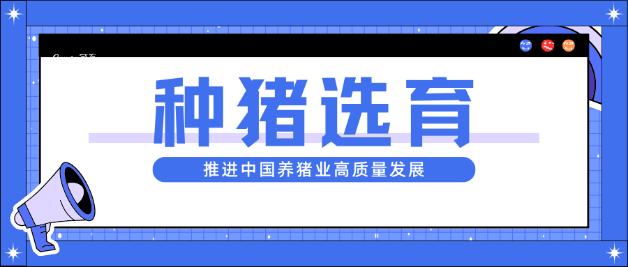 種豬選育：推進(jìn)中國(guó)養(yǎng)豬業(yè)高質(zhì)量發(fā)展