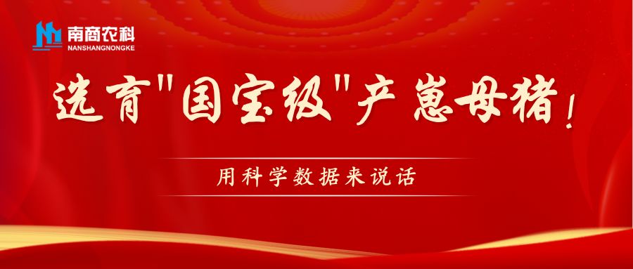 科學(xué)數(shù)據(jù)助力"國寶級"產(chǎn)崽母豬選育：數(shù)字化時代下的種畜選育新思路