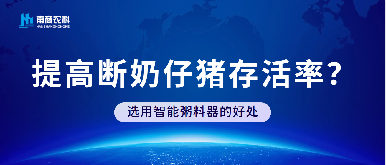 如何提高斷奶仔豬存活率？選用智能粥料器的好處