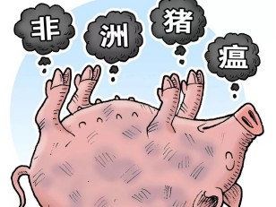 非洲豬瘟能通過粉塵傳播嗎？